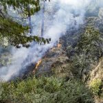 Wildfire Prevention in Waipahu