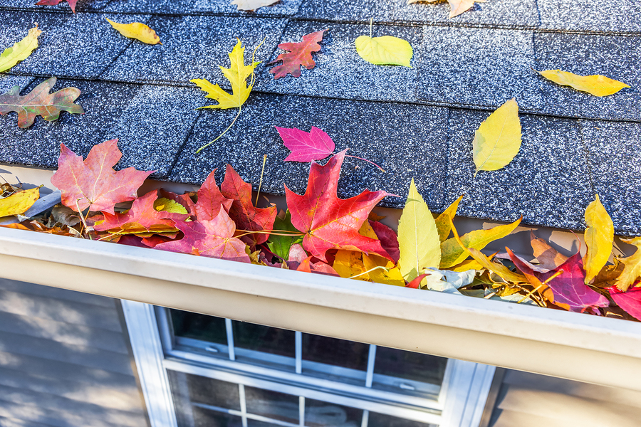 Fall Home Maintenance Checklist for your Waipahu, HI home