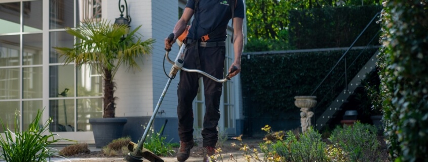 Insurance for Landscapers in Hawaii